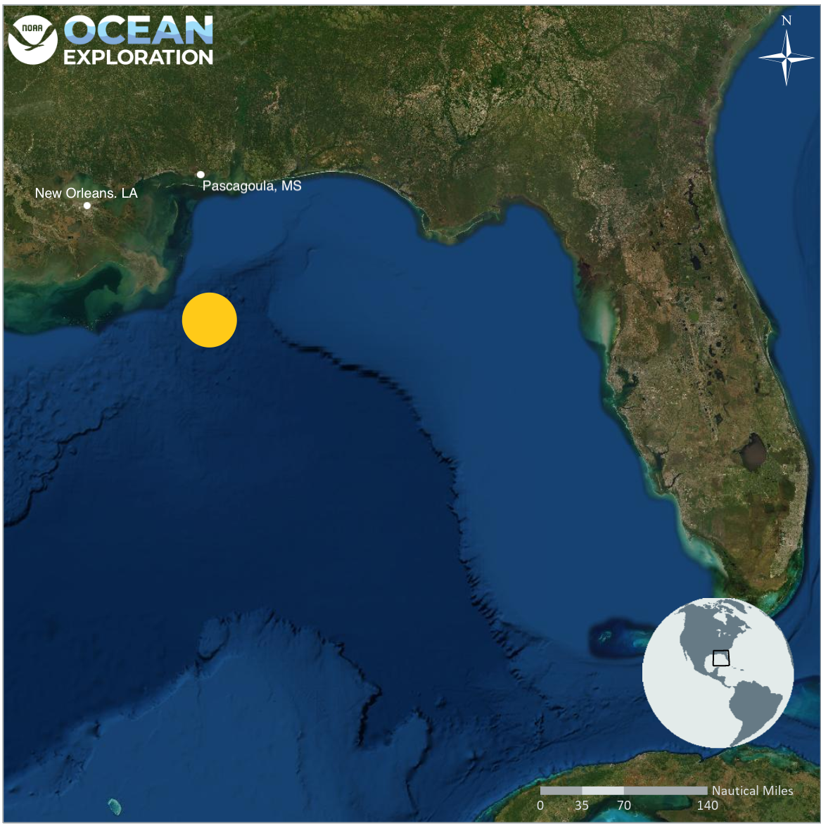 NOAA Ocean Exploration documented the brig Industry shipwreck in the Gulf of Mexico at a depth of 6,000 feet below the Gulf surface. The brig sank in the summer of 1836 after a storm snapped its masts and opened the hull to the sea. 
