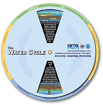 Water Cycle Wheel 