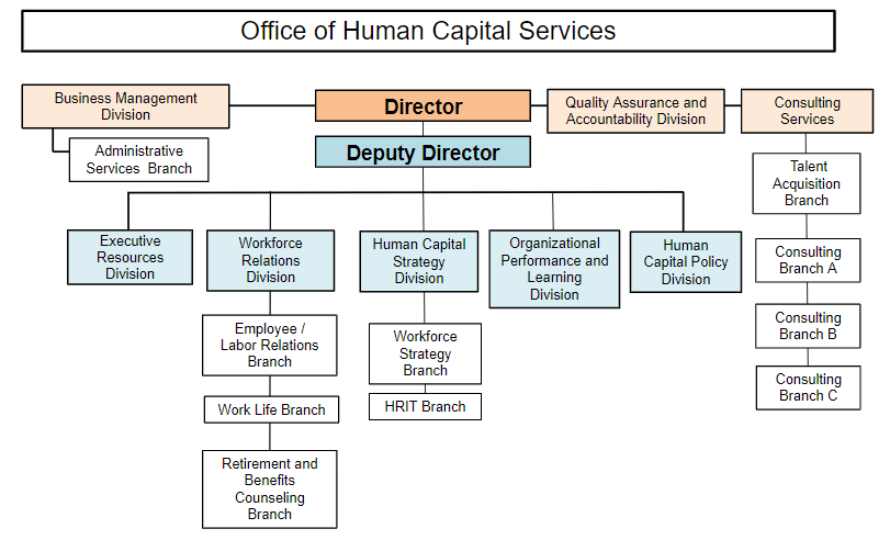Organization Chart for the NOAA Office of Human Capital Services