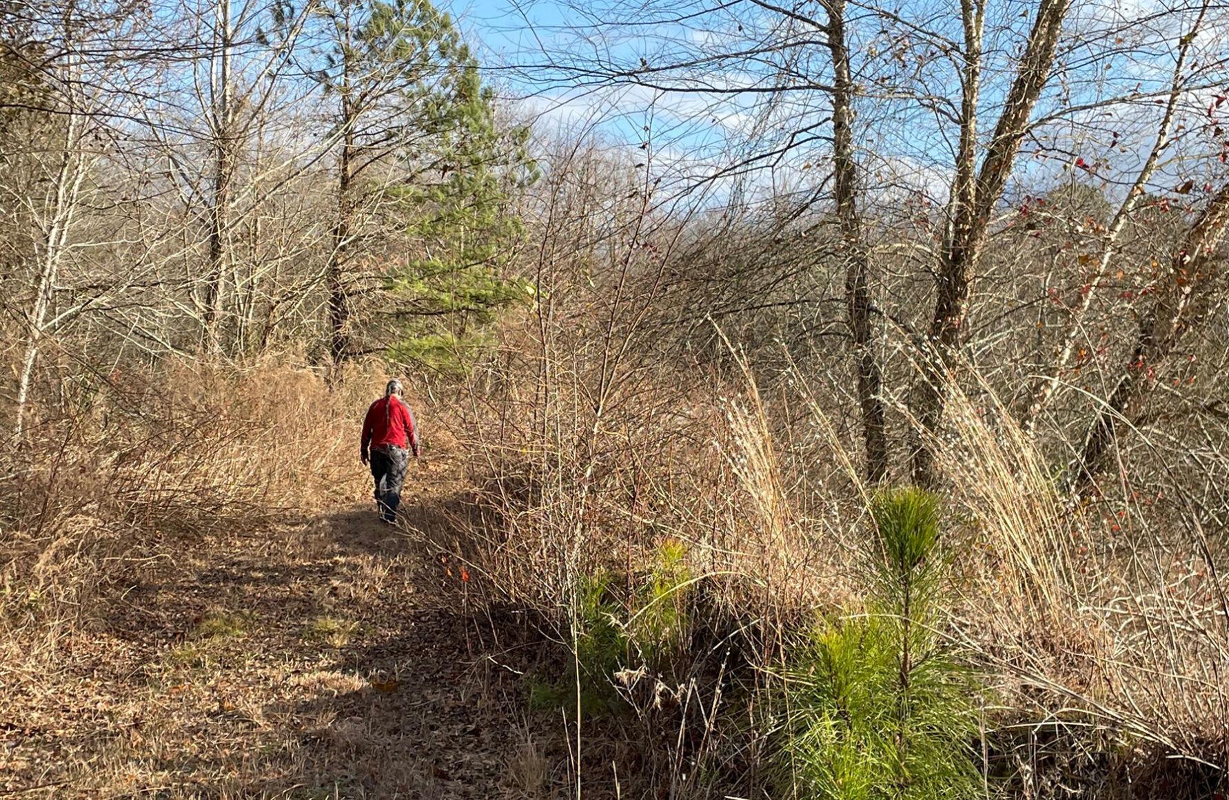 Frank Adams, chief of the Upper Mattaponi Tribe, walks along reacquired ancestral land.