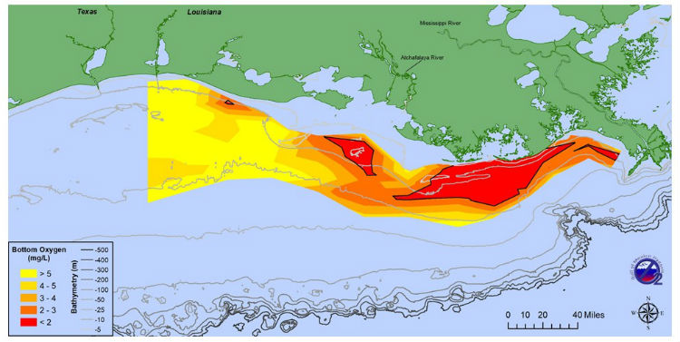 At 2,720 square miles, an area about the size of Delaware, this year's dead zone in the Gulf of Mexico is smaller than average.  The map shows the distribution of bottom-water dissolved oxygen taken during a research cruise from July 24 to 28.