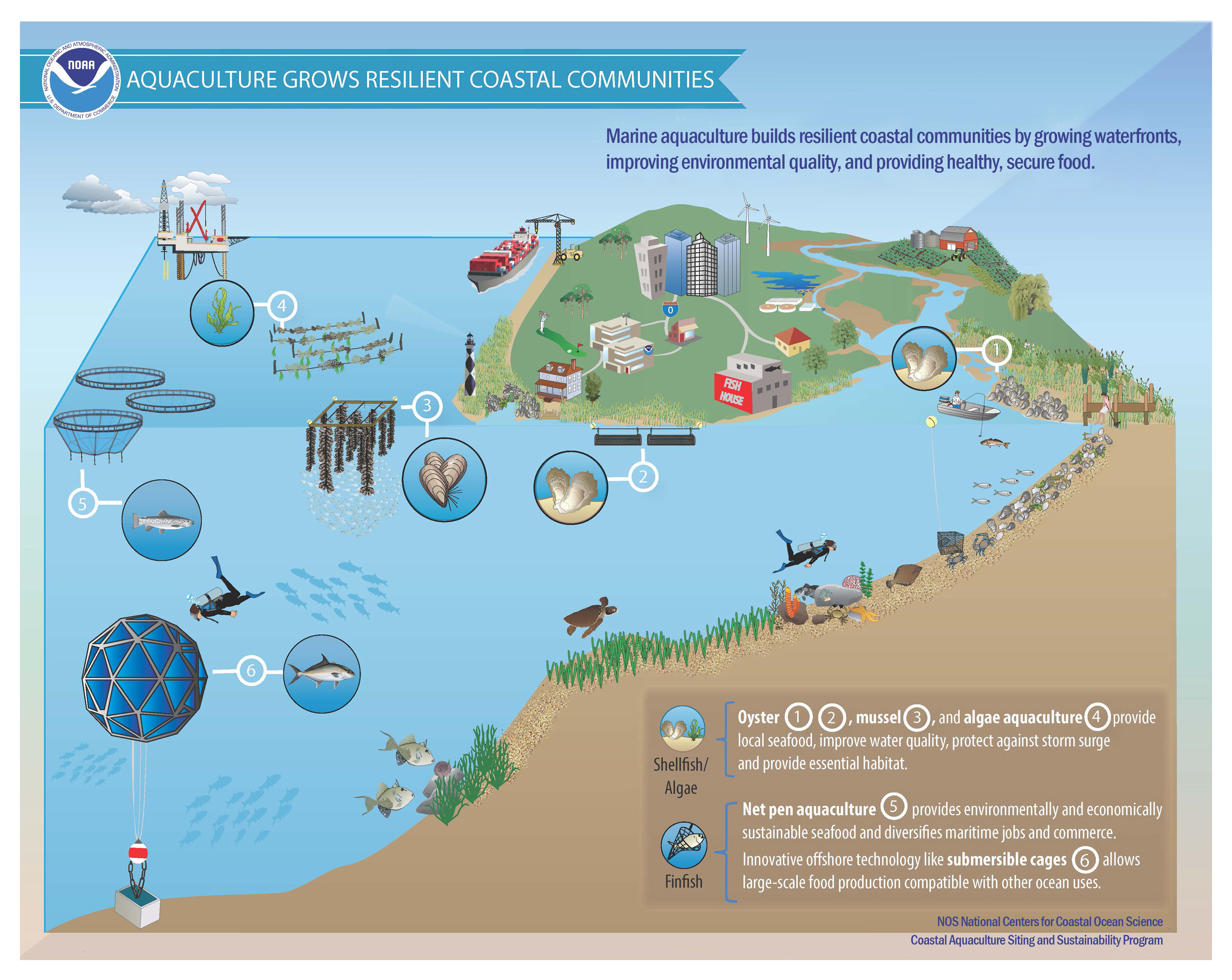 Aquaculture grows resilient coastal communities