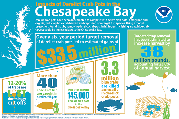 Impacts of derelict crab pots in the Chesapeake Bay.