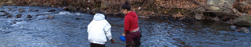 Students with Education Connection's Project Periphyton explore their local watershed.