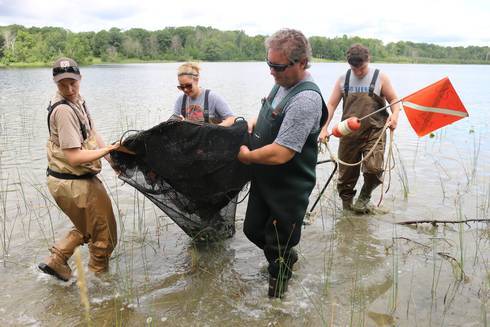 4 teachers walk through shallow water in waders carrying a fishing net