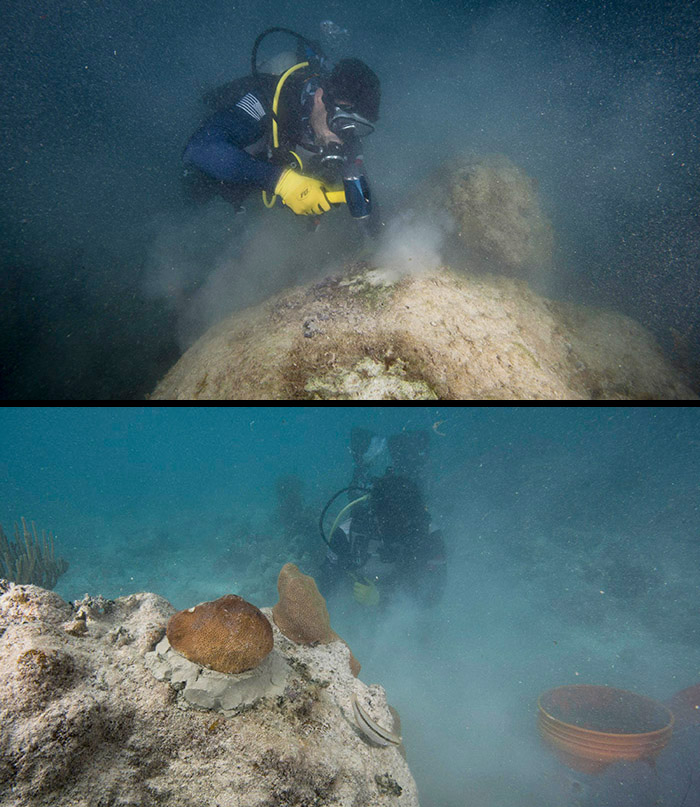In the top photo, a Force Blue diver works to triage damaged coral by cleaning off damaged sections with a mallet. In the bottom photo, the newly attached coral fragments should be able to survive.