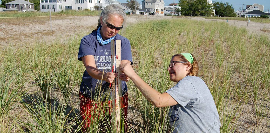 NOAA citizen scientists at work in the field.