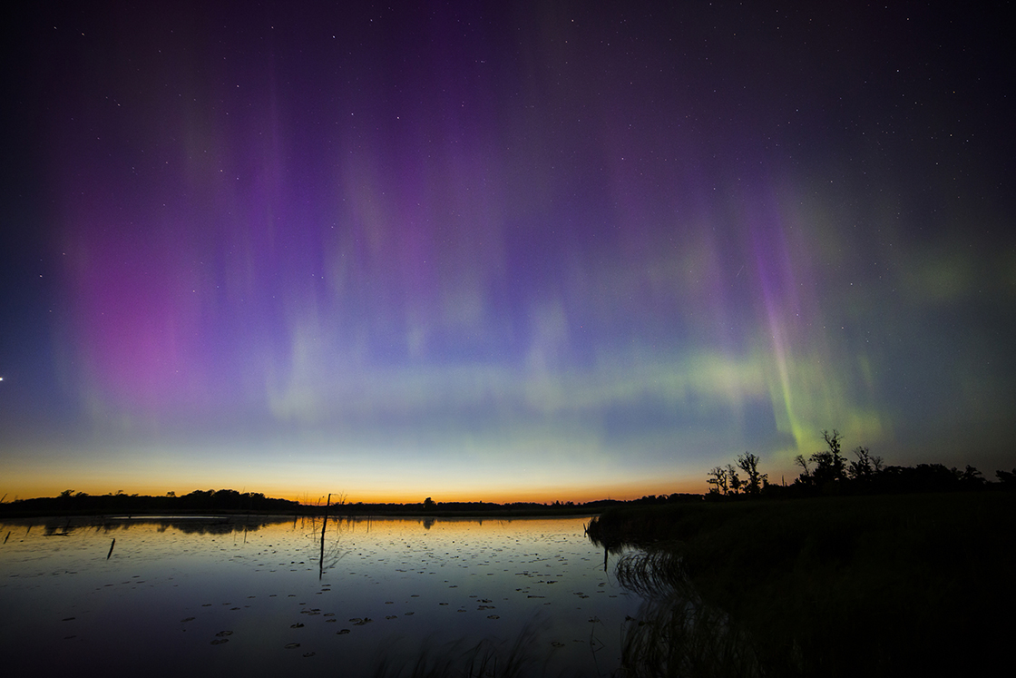 A view of the northern lights from the Minnesota wetlands. 