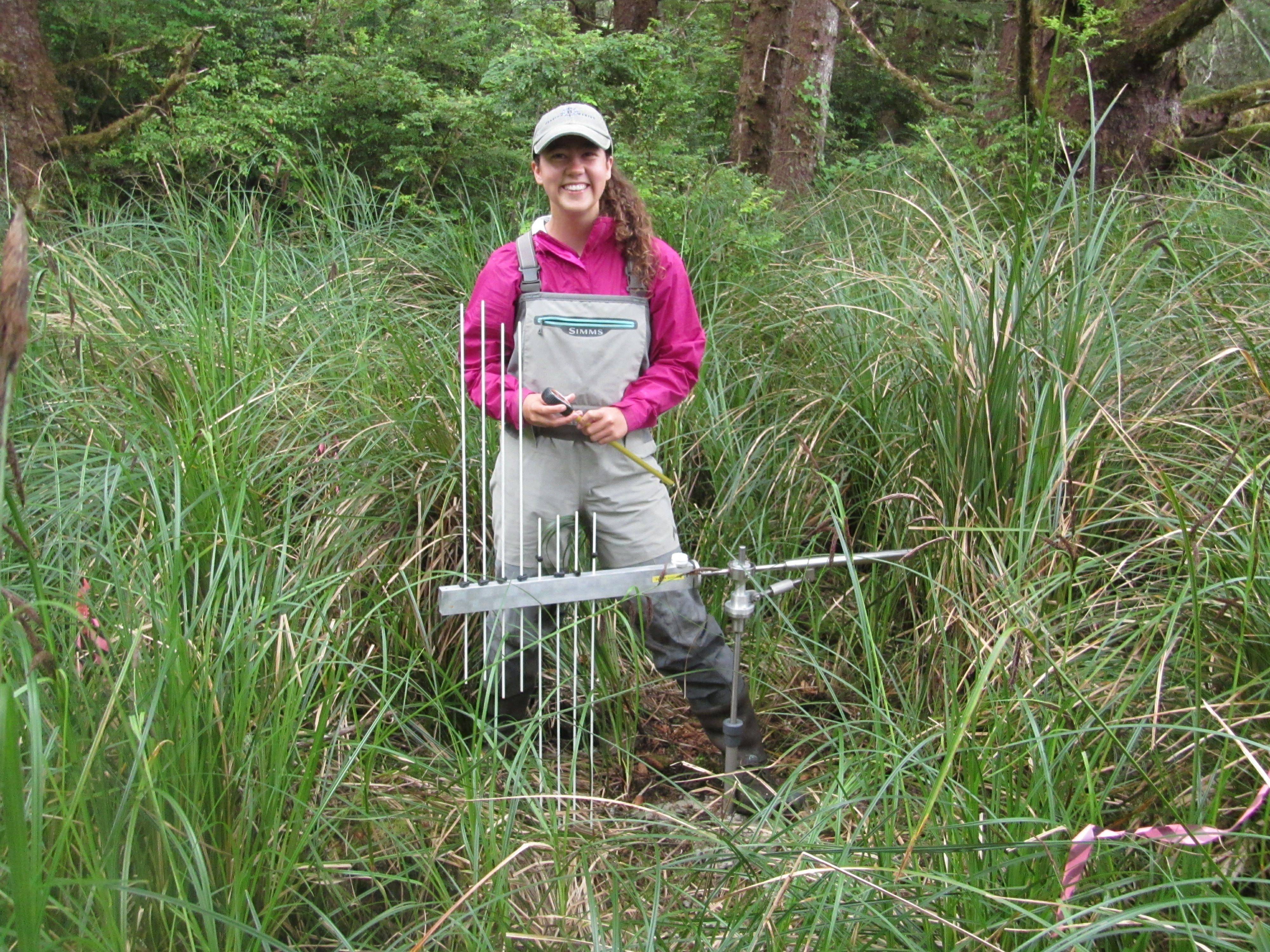 Amanda Ceroli, a 2017 NOAA Hollings Scholar, worked in Charleston, Oregon, with the South Slough National Estuarine Research Reserve for her Summer 2018 internship. Here she is conducting the base measurements for determining yearly sediment accretion in the NEER's newly obtained wetland site.