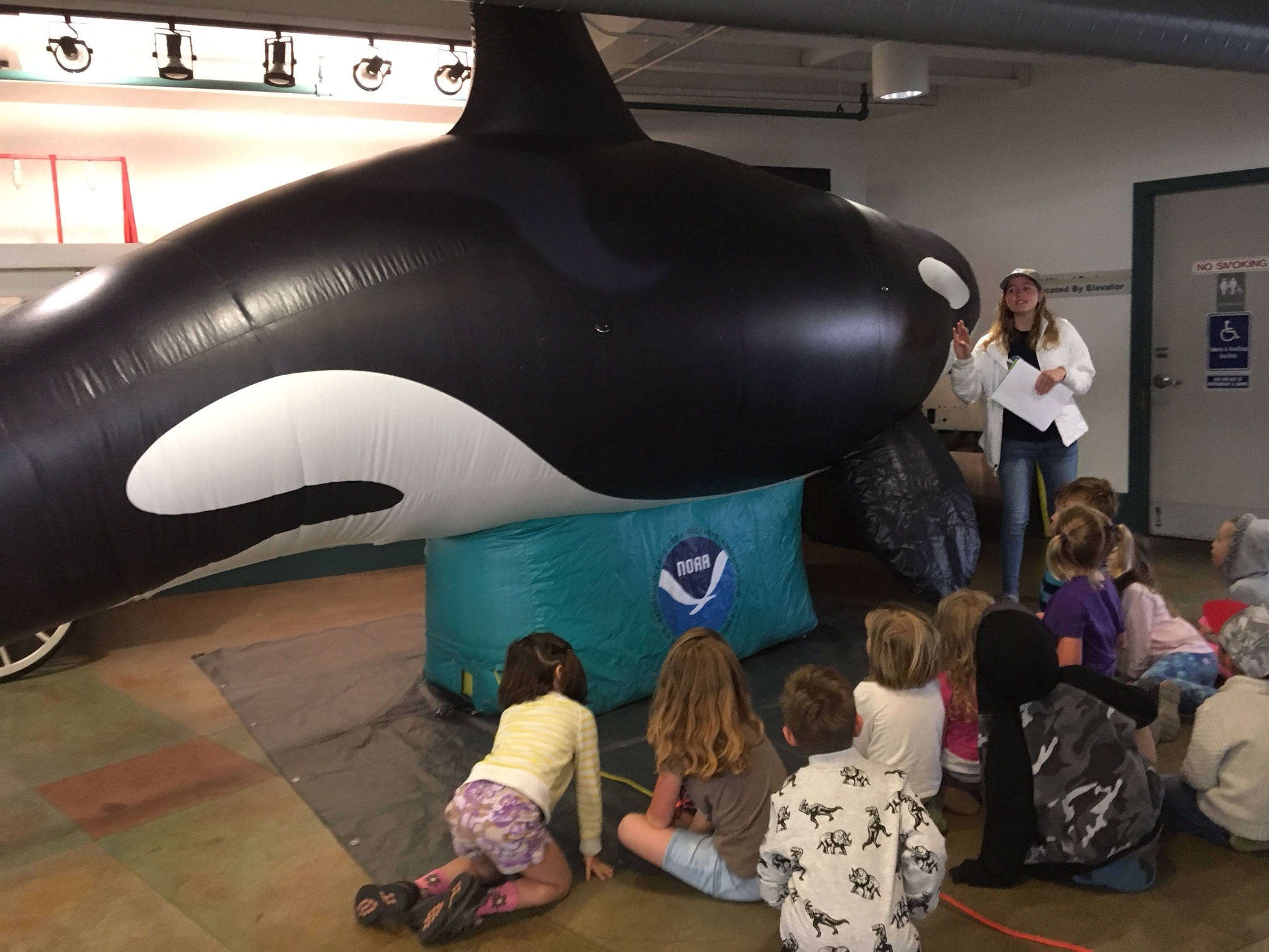 Julie Chase, Class of 2017 Hollings Scholar, educates campers about Mike, a life-size replica of a southern resident killer whale (J-26), pictured here, during her internship at the Olympic Coast National Marine Sanctuary in Port Angeles, Washington.