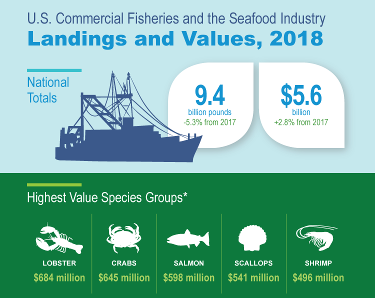 In 2018, U.S. fishermen landed 9.4 billion pounds of fish valued at $5.6 billion at ports around the nation. Highest value species groups including lobster, crabs, salmon, scallops and shrimp.
