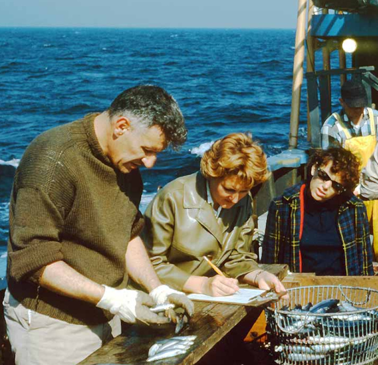 In the 1960s, fingers sorted species. Dr. Robert Edwards, later director of the Northeast Fisheries Science Center, is shown sampling fish aboard NOAA Ship Albatross IV. Working with paper logs on a clipboard, voice tallies could be drowned out by wind and waves and measurements were subject to human error. Innovative approaches and “smart labs" equipped with leading-edge technology are now modernizing fish sampling.  