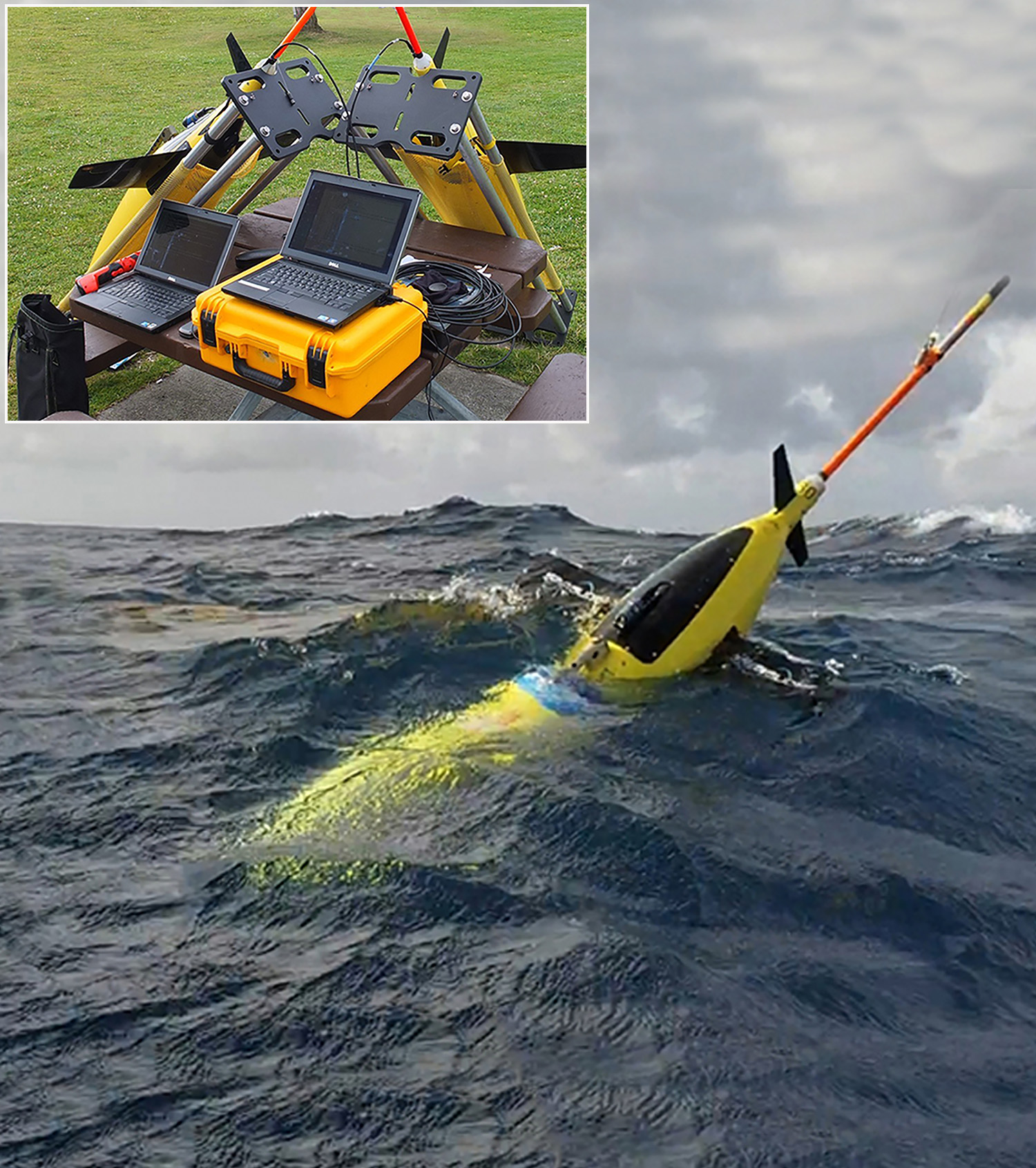 Gliders collect data and transmit it via satellite. These intrepid robots can survive hurricanes and shark attacks.