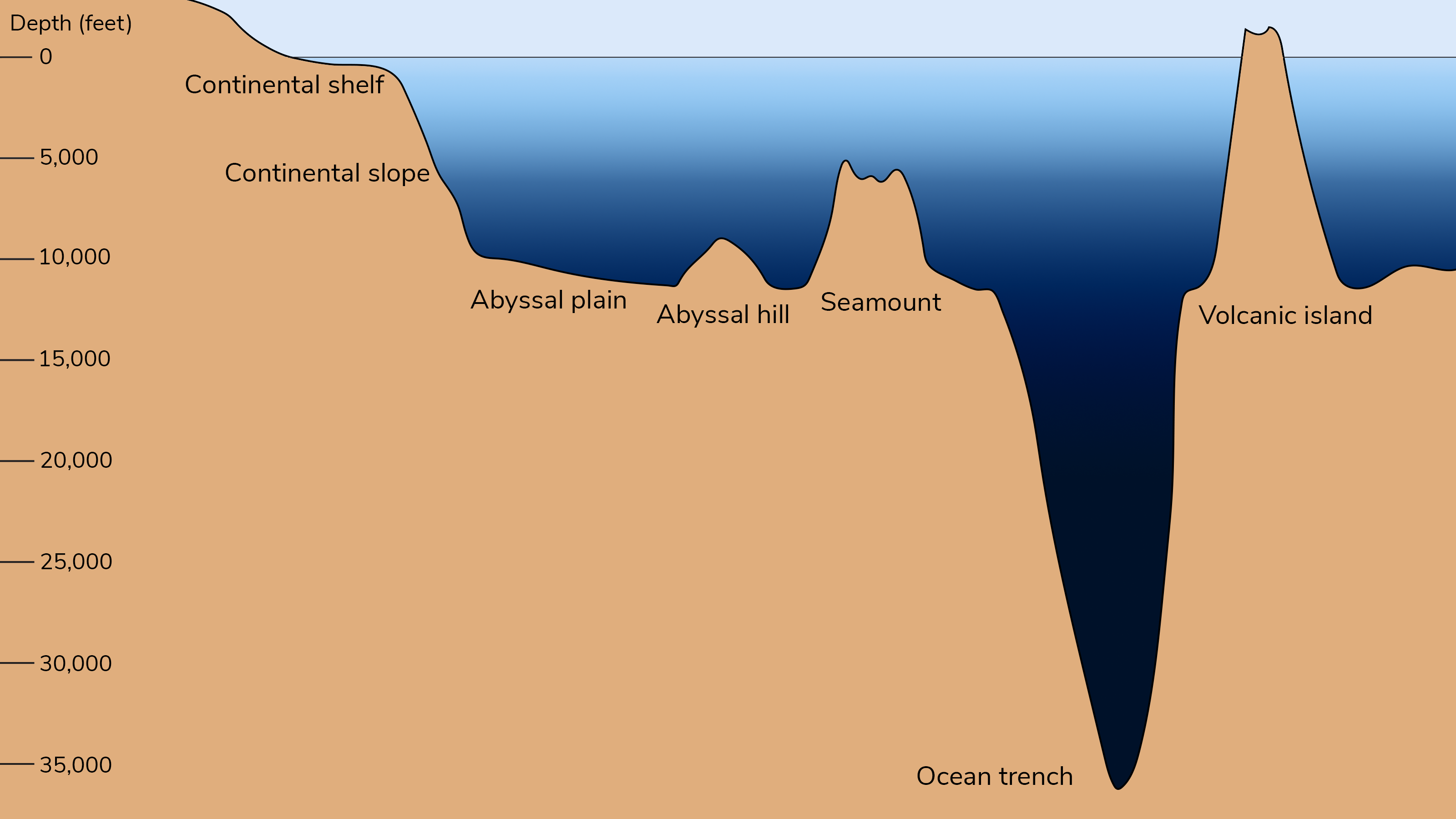 This graphic shows several ocean floor features on a scale from 0-35,000 feet below sea level. The following features are shown at example depths to scale, though each feature has a considerable range at which it may occur: continental shelf (300 feet), continental slope (300-10,000 feet), abyssal plain (>10,000 feet), abyssal hill (3,000 feet up from the abyssal plain), seamount (6,000 feet up from the abyssal plain), ocean trench (36,000 feet), and volcanic island (above sea level). 