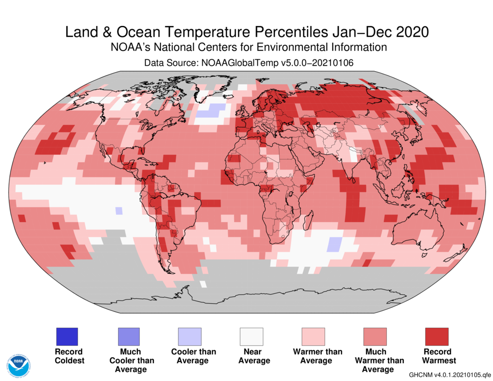 A world map plotted with color blocks depicting percentiles of global average land and ocean temperatures for the full year 2020. Color blocks depict increasing warmth, from dark blue (record-coldest area) to dark red (record-warmest area) and spanning areas in between that were "much cooler than average" through "much warmer than average".