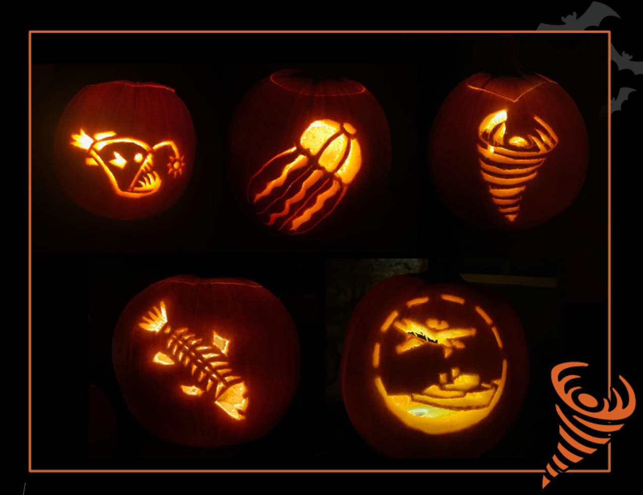 Five pumpkins carved with different NOAA-themed templates including an anglerfish, a jellyfish, a tornado, a bony fish, and a ship and plane. Border of the photo is black with orange atmospheric graphics of a tornado. Text: pumpkin carving templates, #NOAASpookyScience with NOAA logo.
