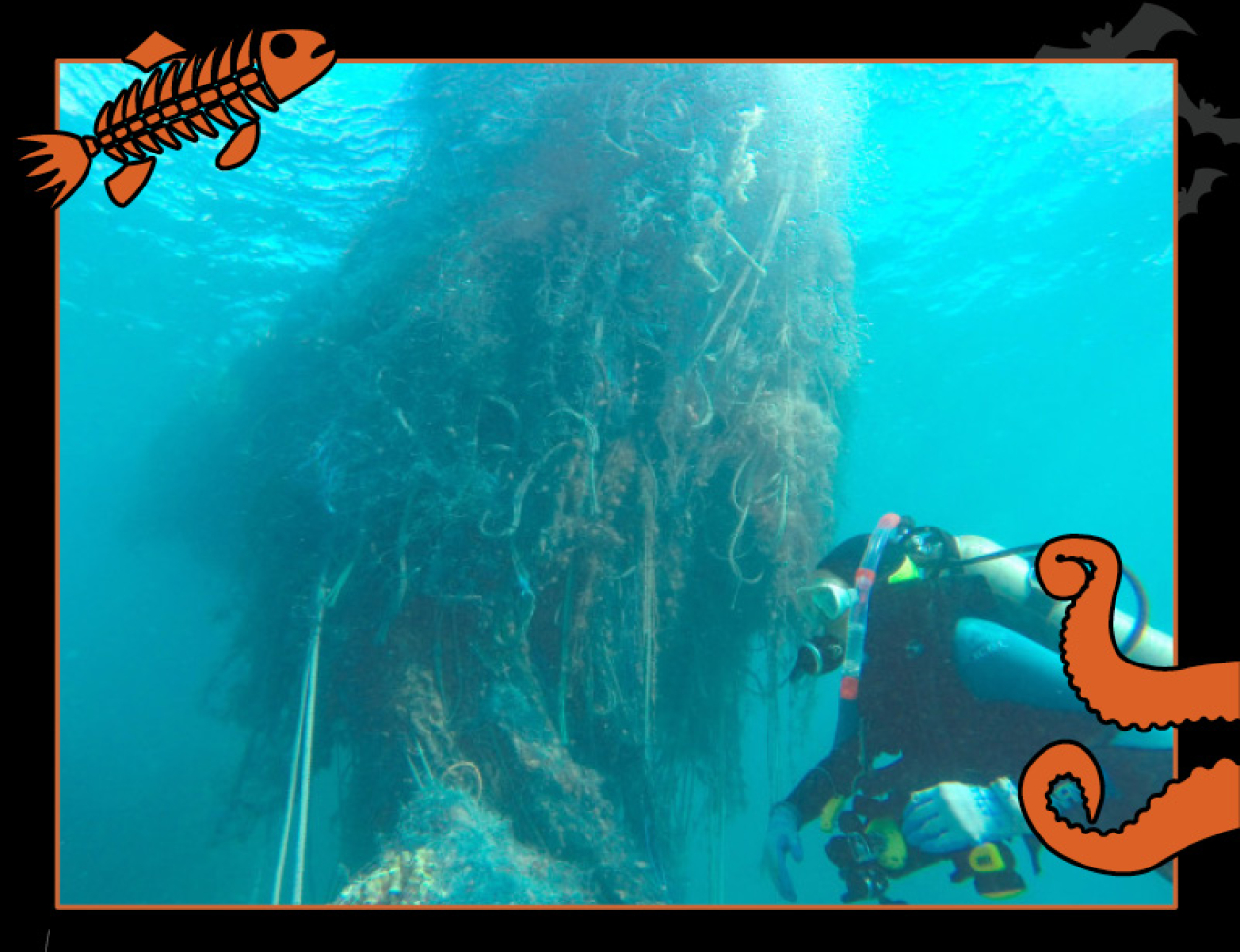 A net floating and tangled up in the ocean weighs close to 1.5 tons. Border of the photo is black with orange sea creature graphics of octopus tentacles and a fish skeleton. Text: The spooky truth about ghost fishing, #NOAASpookyScience with NOAA logo.