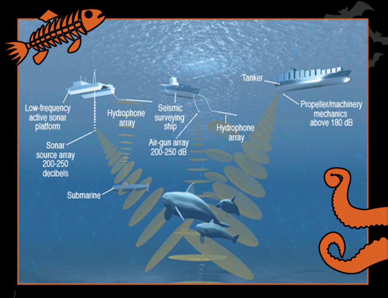 A diagram describing an acoustic buoy and the parts and components involved in ocean nouse research. Border of the photo is black with orange sea creature graphics of octopus tentacles and a fish skeleton. Text: Things that go bump in the sea, #NOAASpookyScience with NOAA logo.