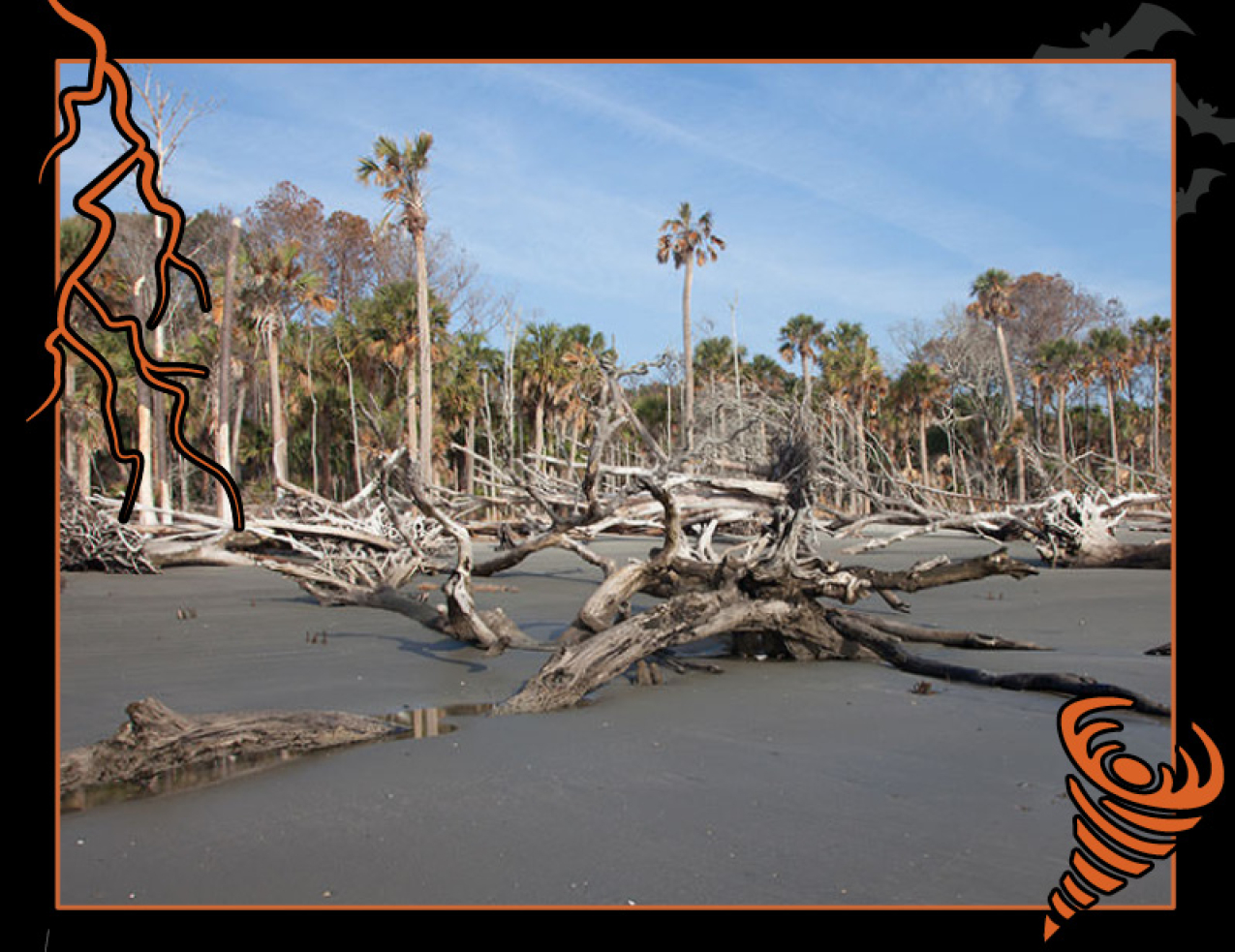 The watery remains of a once verdant woodland. Dead trees and broken limbs fill the beach. Border of the photo is black with orange atmospheric graphics of a lightning bolt and a tornado. Text: What is a ghost forest? #NOAASpookyScience with NOAA logo.