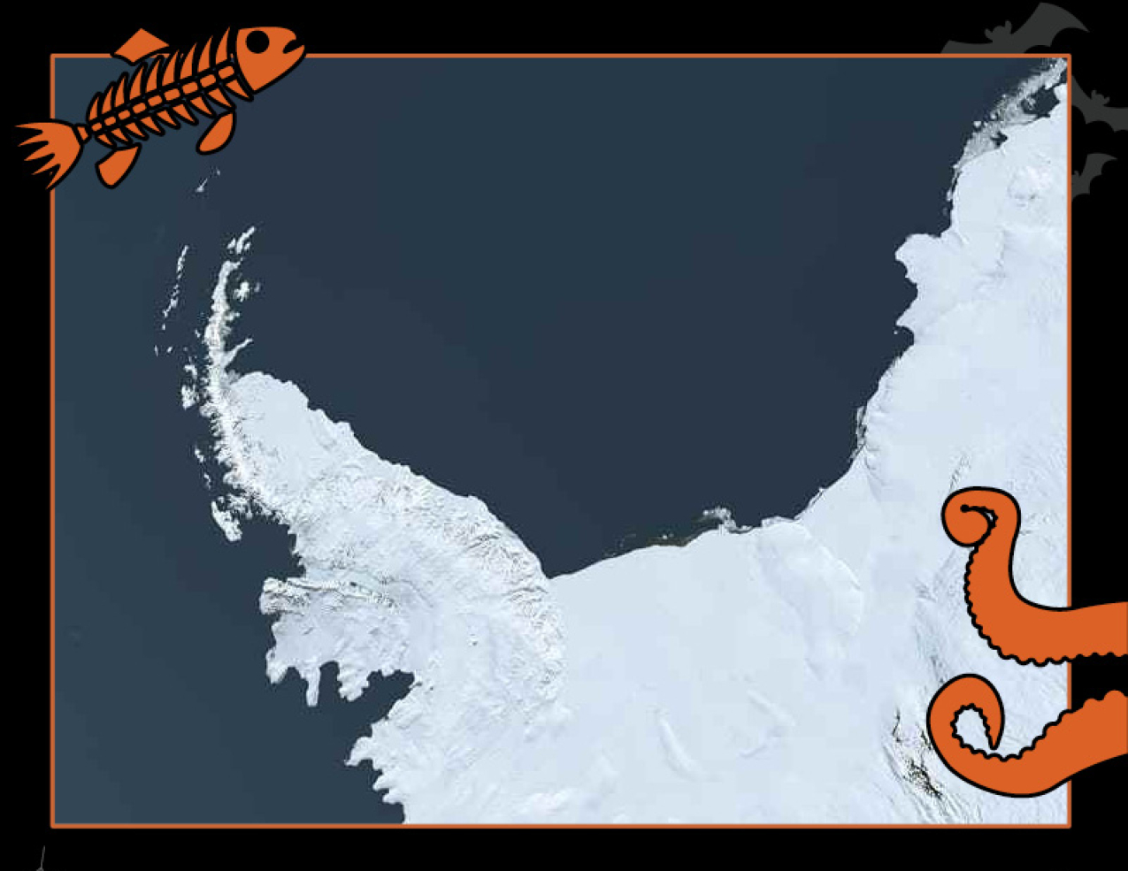 Satellite image of the tip of Antarctica. Border of the photo is black with orange sea creature graphics of octopus tentacles and a fish skeleton. Text: What is the “Bloop?” #NOAASpookyScience with NOAA logo.