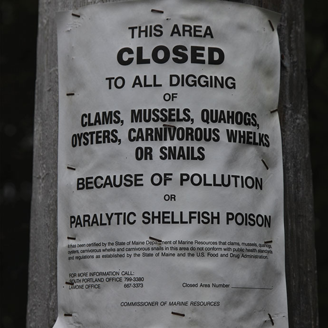 Public warning signs appear in areas that have been closed due to high levels of toxin in shellfish.
