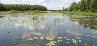 The Pokegama Bay section of the new Lake Superior National Estuarine Research Reserve contains one of the largest municipal forests in the United States. Its 6,723 acres contain extensive forested wetlands, uplands, clay flats and submerged lands in the city of Superior, Wisconsin.