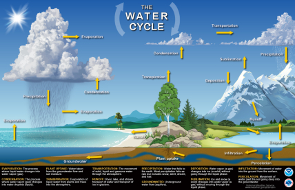 The Water Cycle poster.
