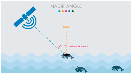 Illustration of nadir and the off-nadir angle when a satellite captures imagery over a whale.