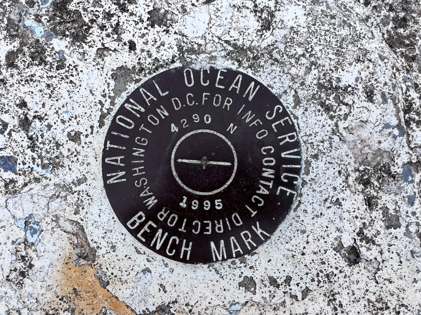 A round metal disc is etched  "National Oceanic Service Bench Mark, Washington DC, for info contact director, 4290 N, 1995," is embedded in concrete or rock. 