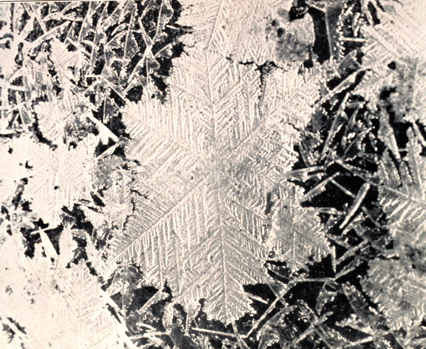 1936 black and white photo of a close up on an ice crystal measuring 4.75 inches in diameter.