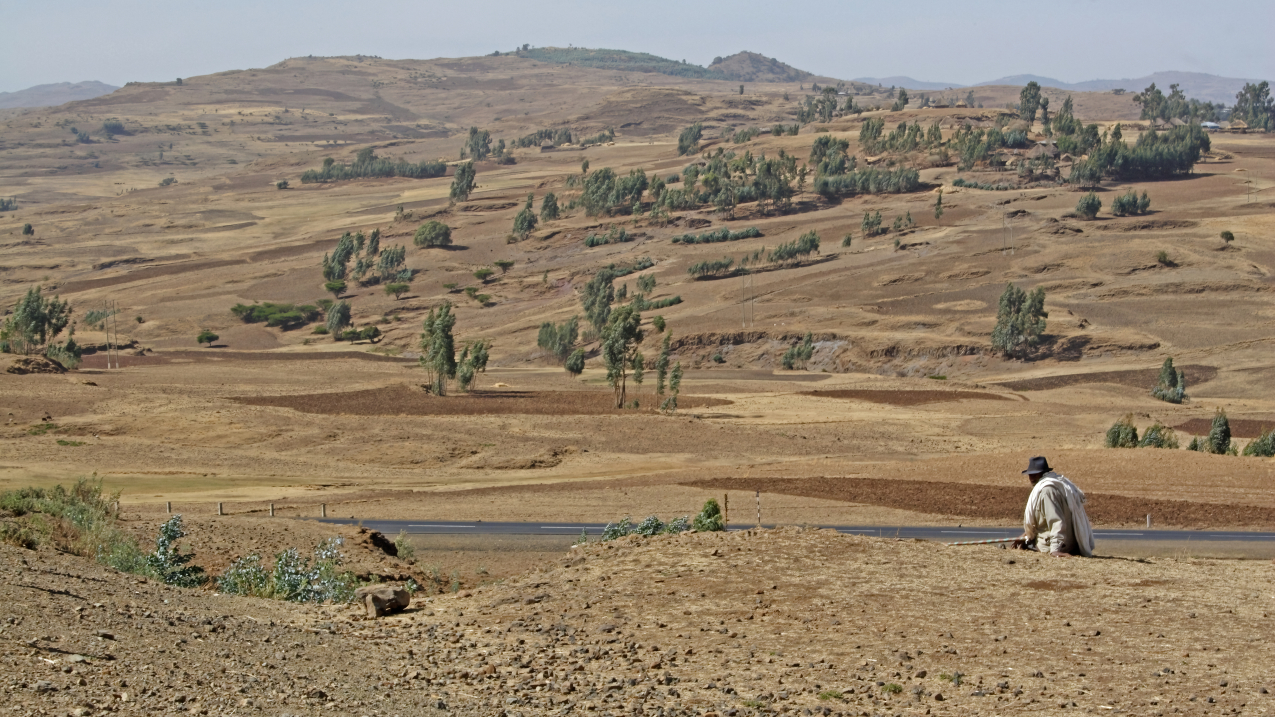 Man (lower right) takes in the expansive view of the dry arable landscape near Debre Libanos Gorge in Ethiopia. April 2021 photo.