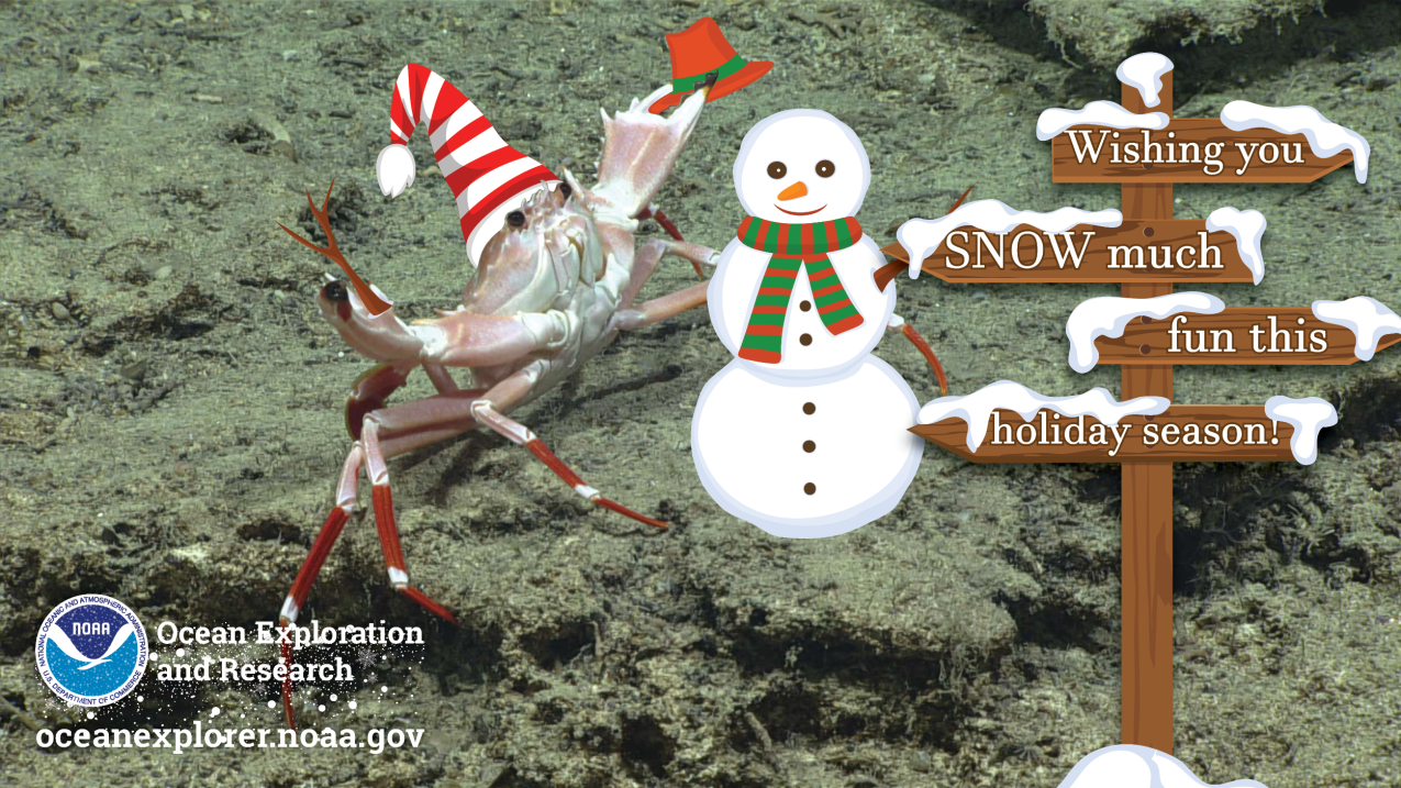 An image of a crab with a graphically added Santa hat. The crab is building a snowman under the sea and there's a sign in the sand that reads, "Wishing you SNOW much fun this holiday season."
