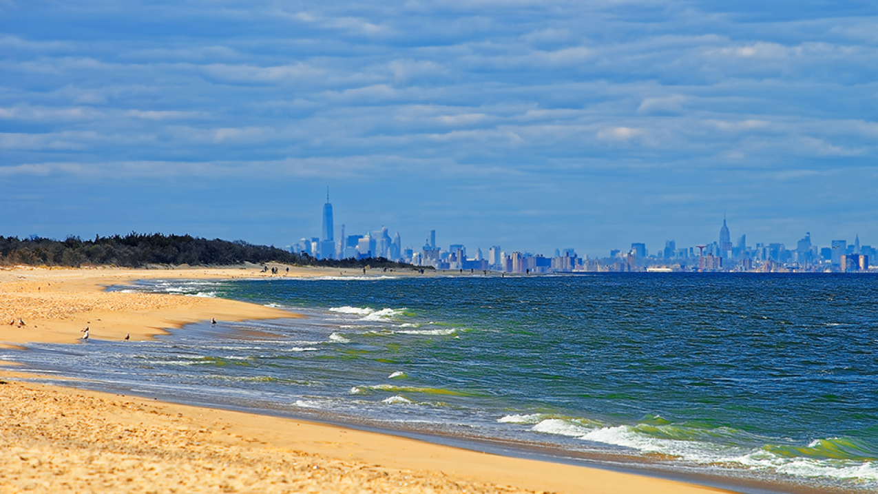 A coastal beach shoreline with a city and skyline in the background.