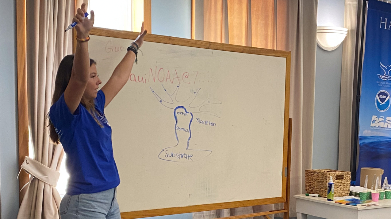 Laura stands with both arms up at a whiteboard that has a picture of a coral drawn on it. She has apparently just drawn the coral, as the same color marker is uncapped in one of her hands.