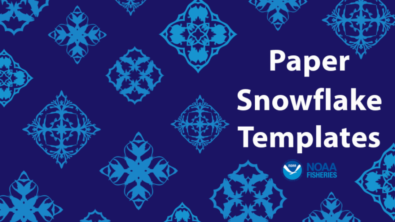 A blue graphic with snowflake patterns and text that reads: Paper snowflake templates