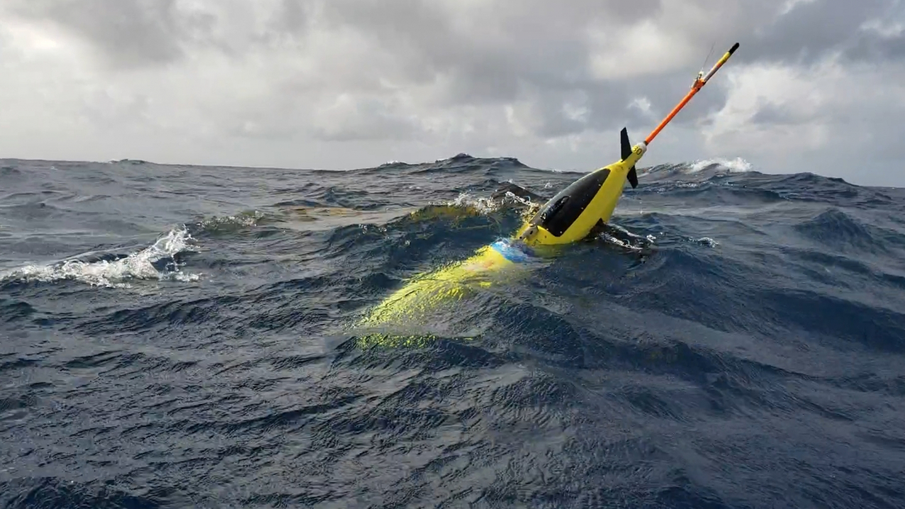 A NOAA ocean glider, seen in waters off the coast of Puerto Rico in July 2018. These robotic, unmanned gliders are equipped with sensors to measure the salt content (salinity) and temperature as they move through the ocean at different depths. The gliders, which can operate in hurricane conditions, collect data during dives down to a half mile below the sea surface, and transmit the data to satellites when they surface.
