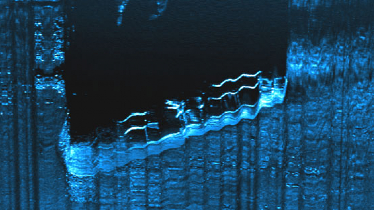Bluefields sonar image. 
