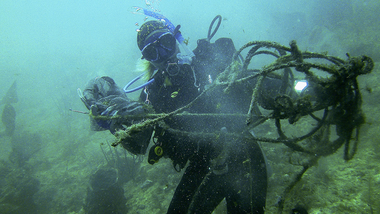 Diver brings up trap line collected during a post-Hurricane Irma cleanup in Florida Keys National Marine Sanctuary. 