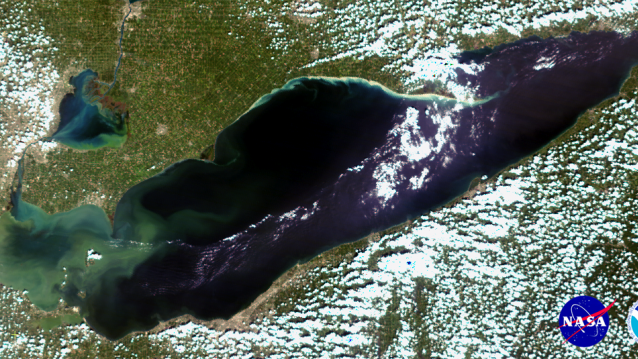A satellite view of Lake Erie in 2014, showing that year's algal bloom in the western basin. 2017's bloom is expected to resemble 2014's. 