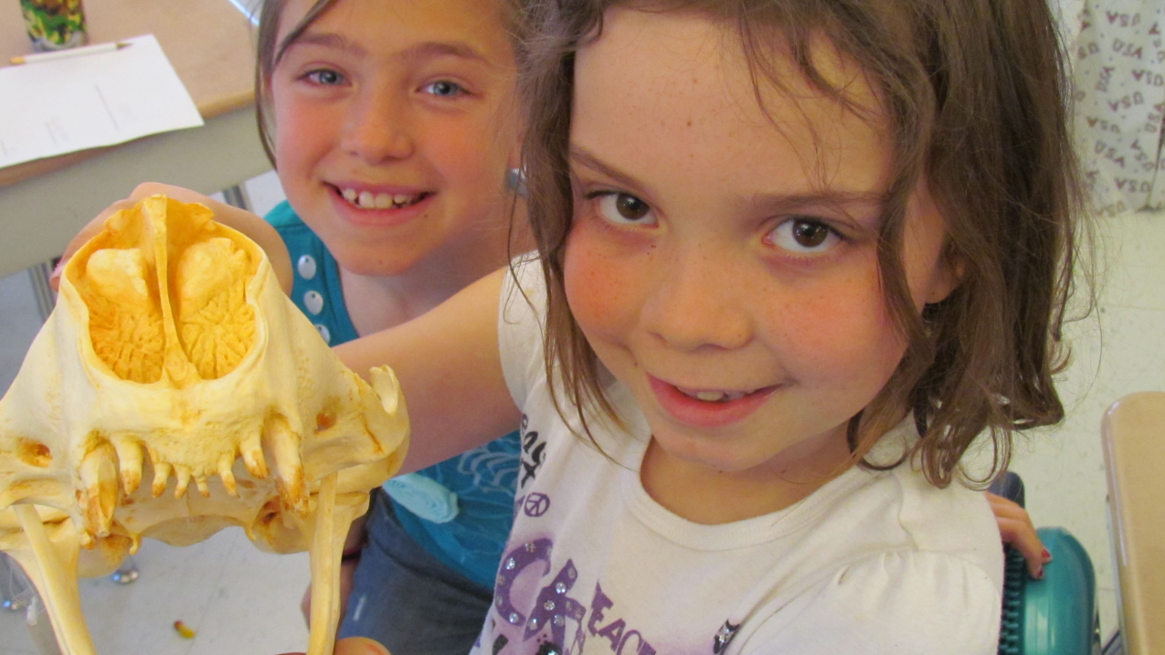 Two students learn about a seal skull during a NOAA Outreach and Education on Protected Species Program presentation.