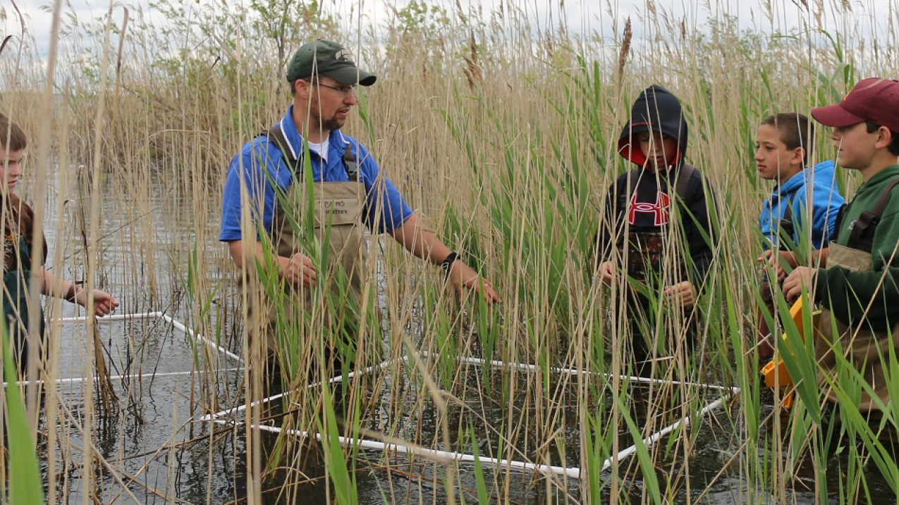 Students measure Phragmites plant densities. The data is used to monitor progress of efforts to manage this invasive species on Charity Island. Photo credit: Michigan Sea Grant.