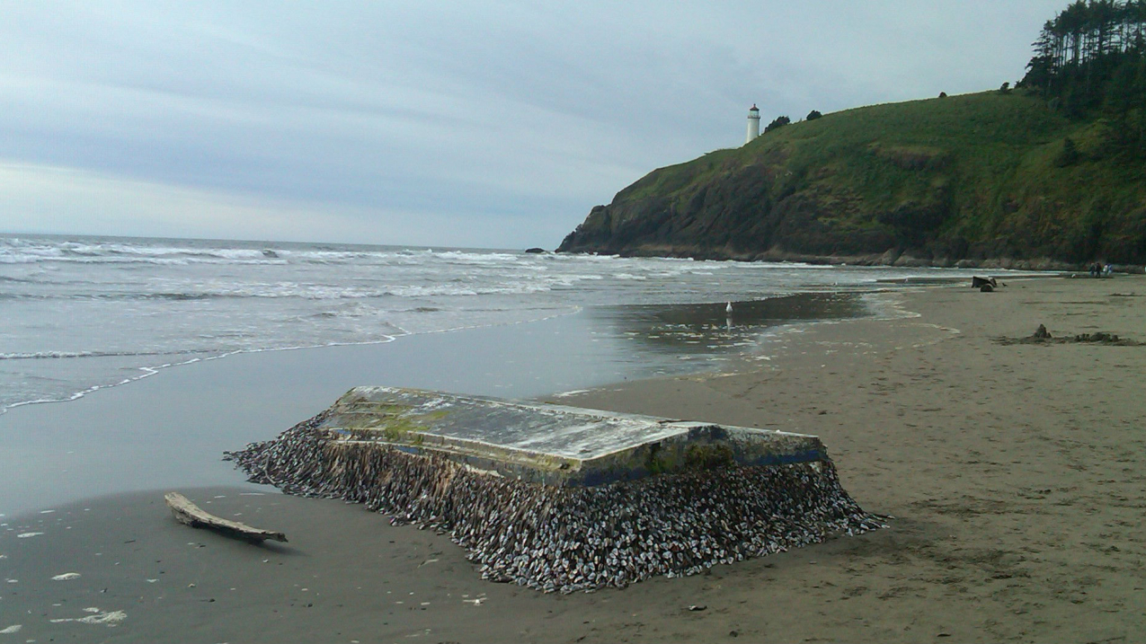 A small boat washed ashore at Cape Disappointment, Washington in 2012. 