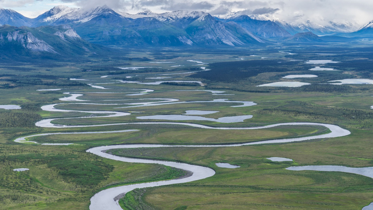 NOAA's 15th Arctic Report Card (2020) continues to chart the transition of a once-reliably frozen into a warmer, wetter, biologically transformed world. Photo: Aerial view of Sheenjek River in the Arctic National Wildlife Refuge posted on Facebook June 15, 2020.