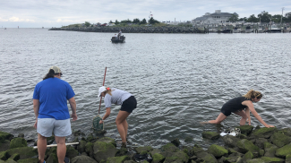 Three teachers from Delaware, Maryland, and New Jersey practice field techniques in the intertidal zone in Lewes, DE. 