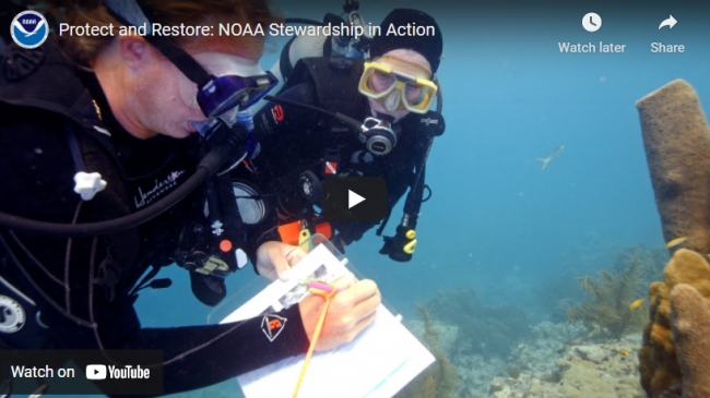 Two divers collect data underwater. One diver writes with waterproof paper and pencil and the other diver observes.