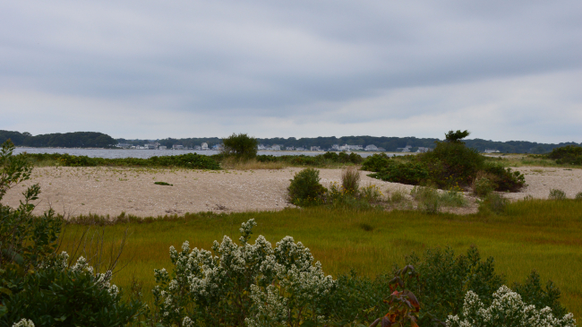 A view of the marshes and beach at Bluff Point, Connecticut in October 2018. This location is included within the proposal for the new addition to the National Estuarine Research Reserve System.