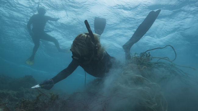 A diver cuts and removes a large derelict fishing net from reefs.