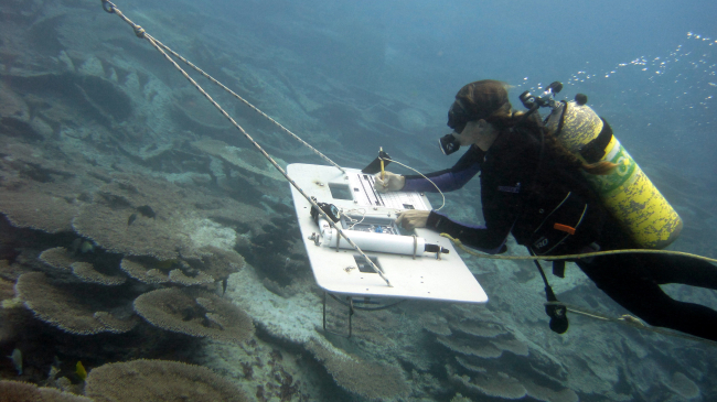 Diver conducts a towboard survey at Midway Atoll.