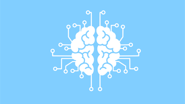 Brain neural network