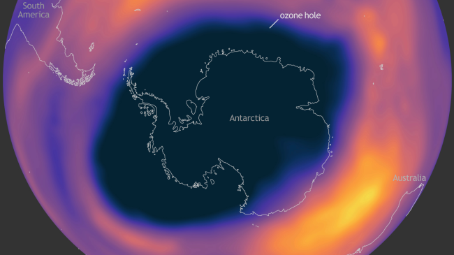 Ozone hole and ozone concentration over Antarctica on October 7, 2021. 
